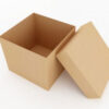 Hộp carton nắp rời